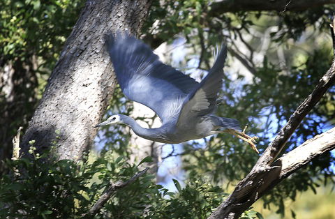 Riverwalk B&B - Accommodation Tasmania 15