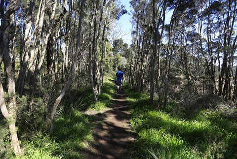 Riverwalk B&B - Accommodation Tasmania 31