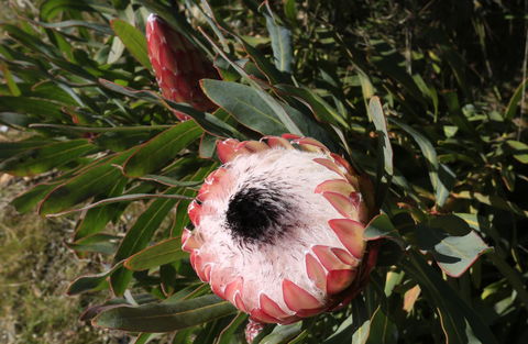Riverwalk B&B - Accommodation Tasmania 38