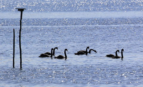Riverwalk B&B - Accommodation Tasmania 25