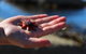 Blu-Sea 365 - thumb 26