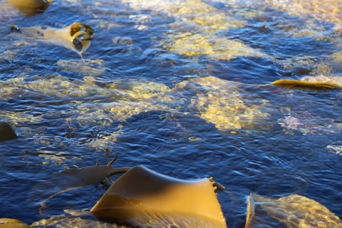 Blu-Sea 365 - Accommodation Tasmania 28