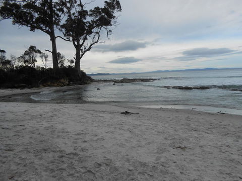 Bruny Ocean Cottage - Accommodation Tasmania 7