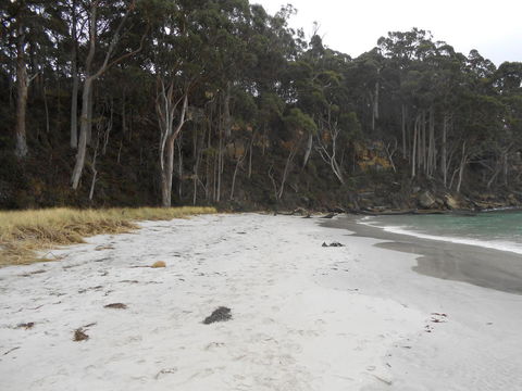 Bruny Ocean Cottage - Accommodation Tasmania 12
