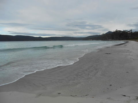 Bruny Ocean Cottage - Accommodation Tasmania 11