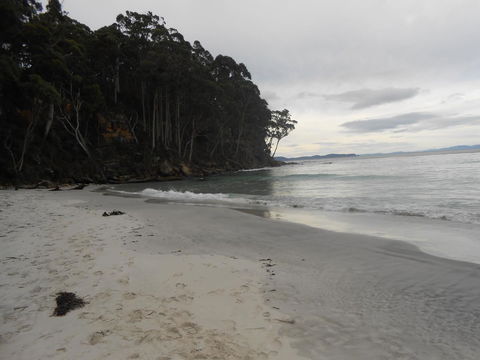Bruny Ocean Cottage - Accommodation Tasmania 17