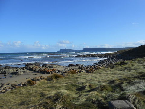 Bruny Ocean Cottage - Accommodation Tasmania 15