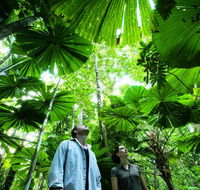 NRMA Cairns Holiday Park - Accommodation Tasmania