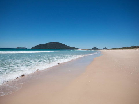 Ocean Nest - Pet Friendly - Accommodation Tasmania 2