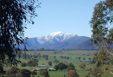 Off Mountain Accommodation - Accommodation Tasmania 0