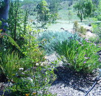 Old Miners' Cottages Bed and Breakfast - Accommodation Tasmania