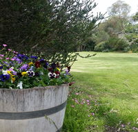 Padthaway Caravan Park - Accommodation Tasmania