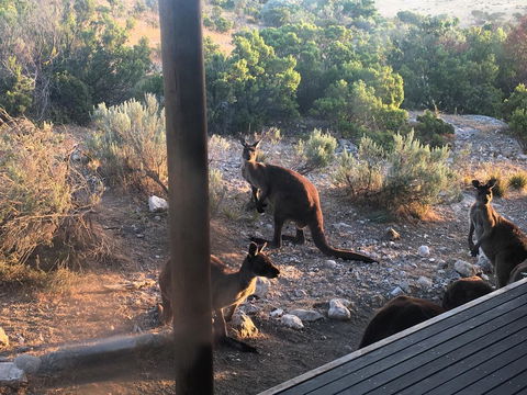 Pelican Lagoon Cabin - Accommodation Tasmania 2