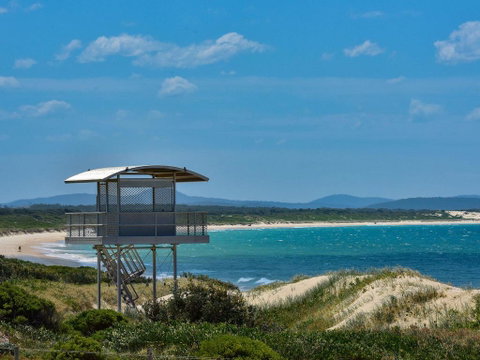 Pet Friendly - Exceptional Beachside Location - Accommodation Tasmania 1