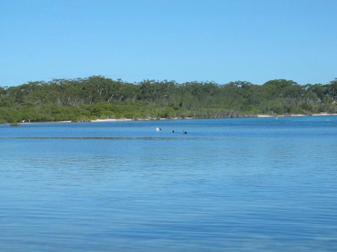 Pet Friendly - Exceptional Beachside Location - Accommodation Tasmania 3