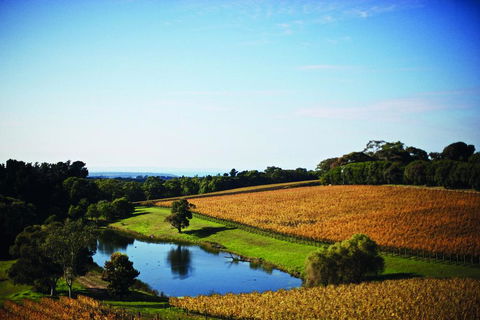 Port Phillip Estate - Accommodation Tasmania 2