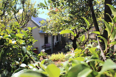 Quince Cottage - Accommodation Tasmania 2