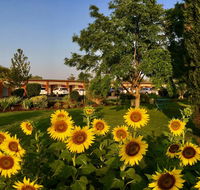 Quirindi Sunflower Motor Inn - Accommodation Tasmania