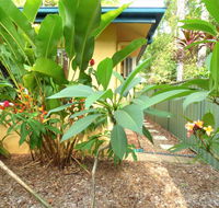 Rainforest Cottage Cairns - Accommodation Tasmania