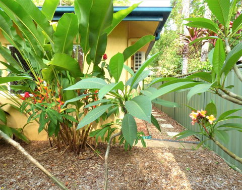 Rainforest Cottage Cairns - Accommodation Tasmania 0