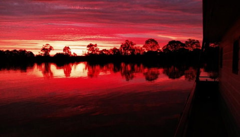 Rivershack Pet Friendly - Accommodation Tasmania 3