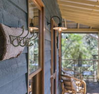 Scribbly Gum - Accommodation Tasmania