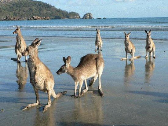 Hazledean QLD Accommodation Tasmania