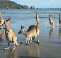 Seaforth Holiday Units - Accommodation Tasmania