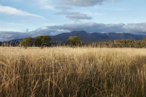 Second Flat Retreat - Accommodation Tasmania 2