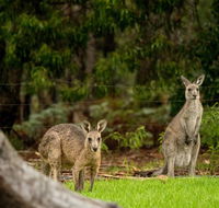 Secura Lifestyle Countryside Kalaru - Accommodation Tasmania