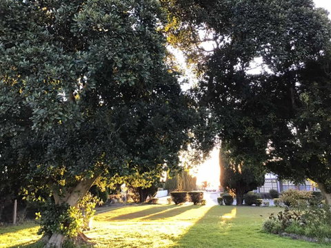 Sir Francis Drake - Accommodation Tasmania 2