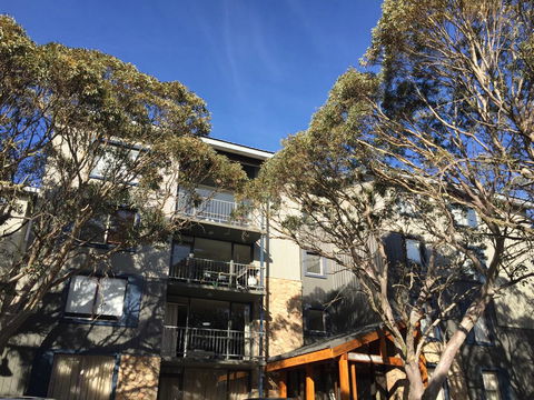 Snowflake 12 - Accommodation Tasmania 0