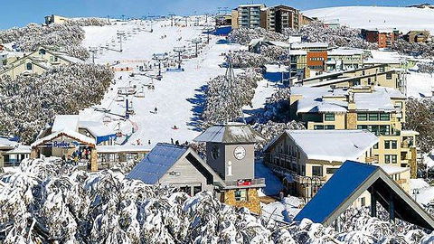 Snowflake 4 - Accommodation Tasmania 1