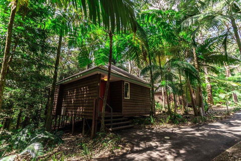 Songbirds Rainforest Retreat - Accommodation Tasmania 2