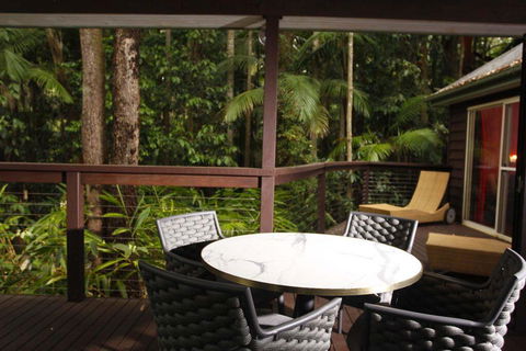Songbirds Rainforest Retreat - Accommodation Tasmania 1
