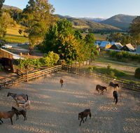 Spring Spur - Accommodation Tasmania