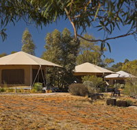 Squeakywindmill Boutique Tent BB - Accommodation Tasmania
