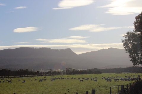 St Marys Hotel And Bistro - Accommodation Tasmania 3