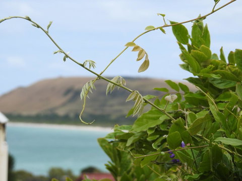 Ellie\'s Cottages - Accommodation Tasmania 3