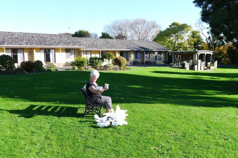 Willaway Motel Apartments - Accommodation Tasmania 10