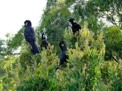 Eagles Rise Tasmania - Accommodation Tasmania 10