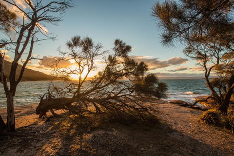 Freycinet Lodge - Accommodation Tasmania 44