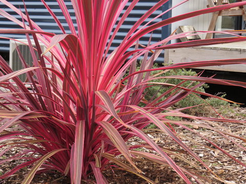 Captain Cook Holiday Park - Accommodation Tasmania 15