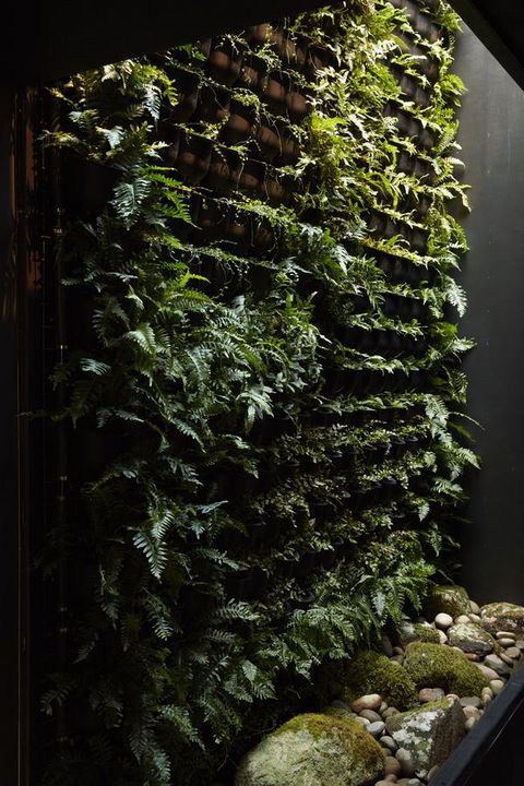 Moss Hotel - Accommodation Tasmania 2