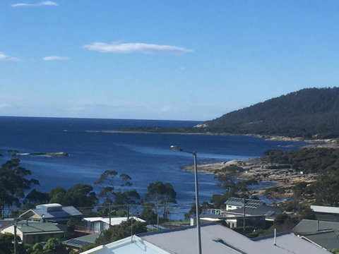 Bicheno Bell - Accommodation Tasmania 0