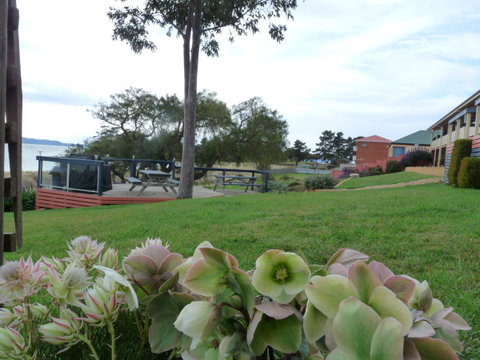 Swansea Motor Inn Tasmania - Accommodation Tasmania 17