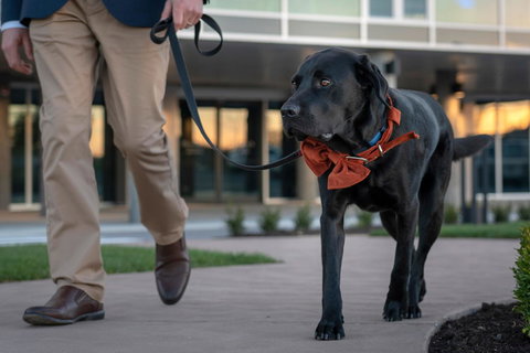 Peppers Silo - Accommodation Tasmania 44