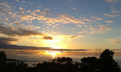 Up The Back - Accommodation Tasmania 33