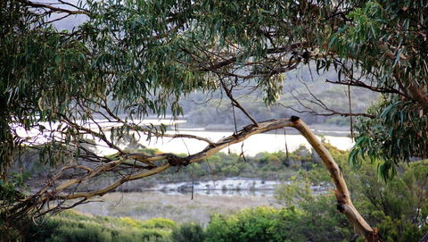 KINGFISHER COTTAGE Beachfront At The Binalong Bay - Accommodation Tasmania 17