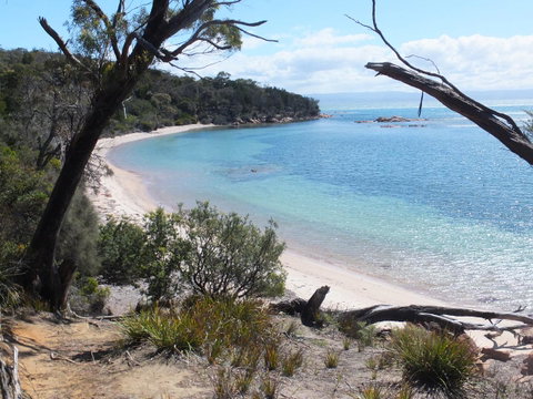 Cove Cottage - Accommodation Tasmania 12
